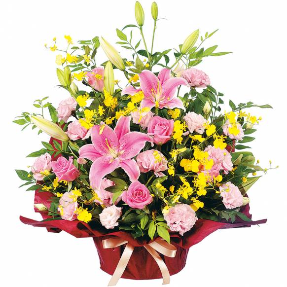 楽天市場 13時迄の注文で本日お届け お花屋さんの直接配達きょう花特急便お祝い用 生花 フラワーギフト 全国ネットワーク又はイーフローラお届け お祝い 誕生日 記念日 いい夫婦の日 結婚 送別 開店 開業 オープン 当日 即日 今日 アレンジ 花束 ギフト 花キュー