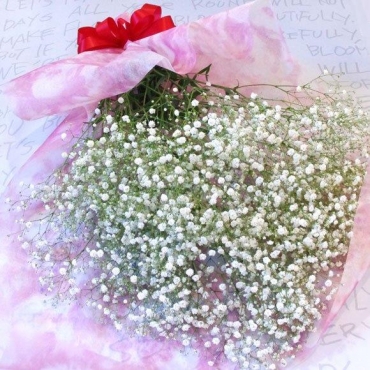 かすみ草　花束 900031