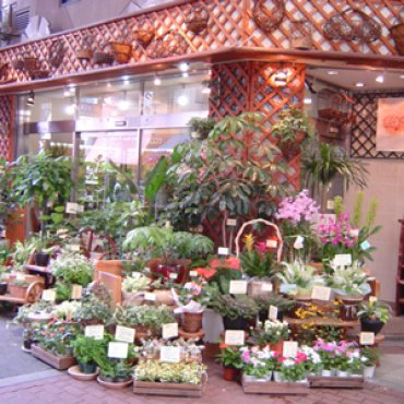 「十三花園」　（大阪府大阪市淀川区）の花屋店舗写真1